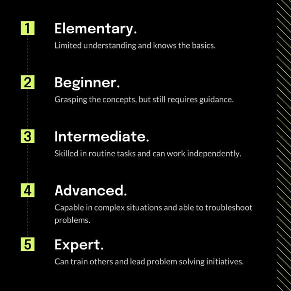 employee skills assessment levels